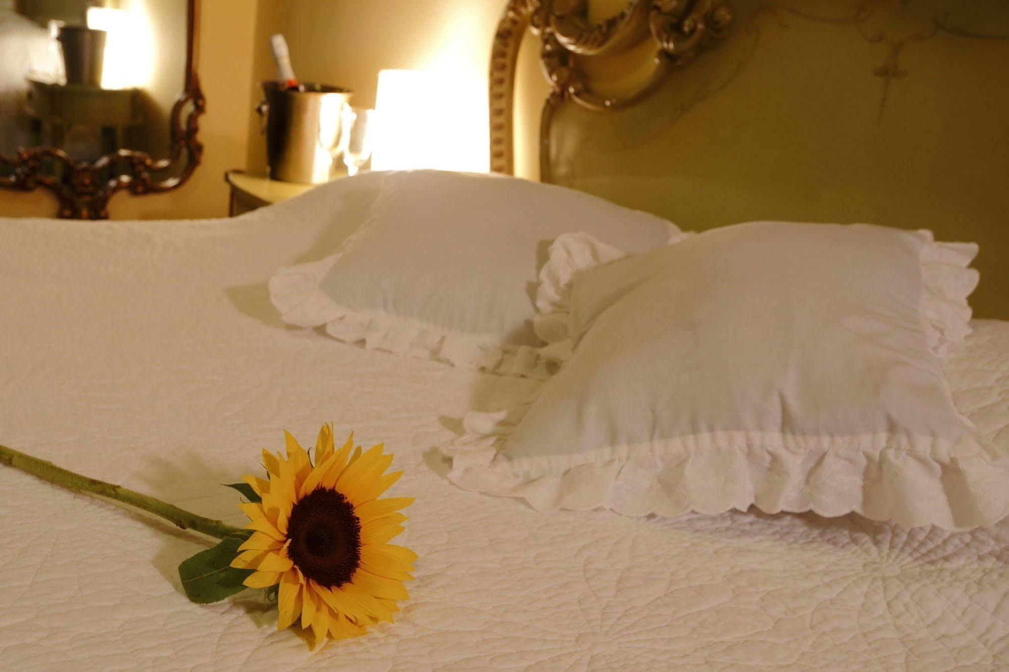 Bed & Breakfast - La Casa De Ceci Lima Ngoại thất bức ảnh